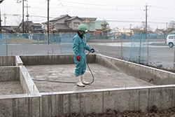 ハチクサン