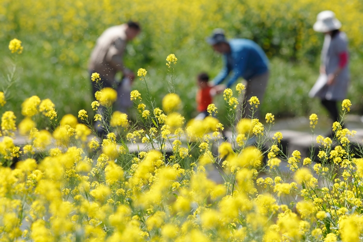 住宅の間取りと換気システム設備でできる、これからの花粉症対策