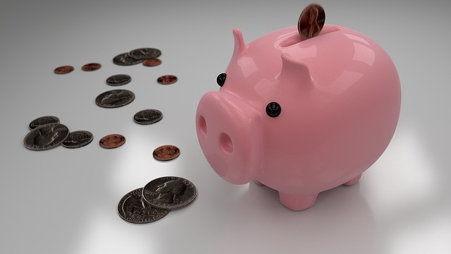 piggy-bank-621068_640