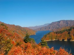 新潟県を舞台にした映画・ドラマ・小説