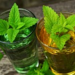 lemon-balm-770051_640