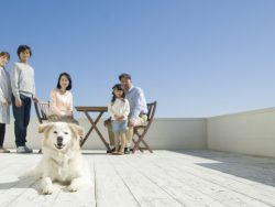 しつけと爪とぎのトラブル。犬・猫と暮らす事を考えてみよう