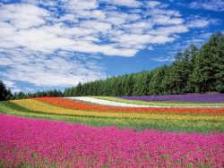 今年の夏におすすめ！国内の旅行先