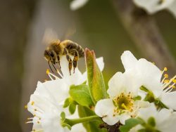 ワンオペにしない！家族の協力で実現する家事の時短テク