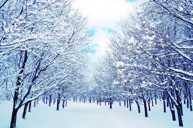 雪への対策はお早めに！北陸地方の初雪はいつ？対策は何する？ | オスカーホーム｜富山・石川・福井・新潟