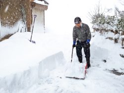 「親雪」雪国にみる雪と共に生きる知恵