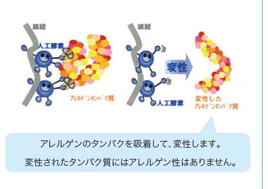 ダニ・花粉のアレルゲンの吸着・分解