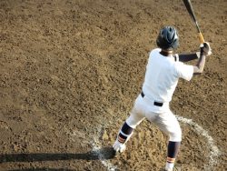 春の甲子園！選抜高校野球の選考基準とは