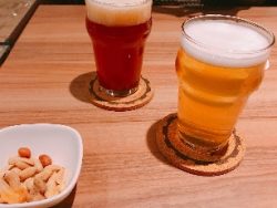 本格的なクラフトビールが飲める！富山県高岡市の「HOP TAP SHOP」をご紹介