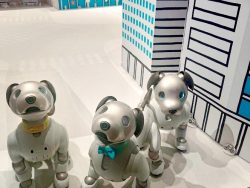 SONYの自律型エンタテインメントロボット「aibo」がすごい！