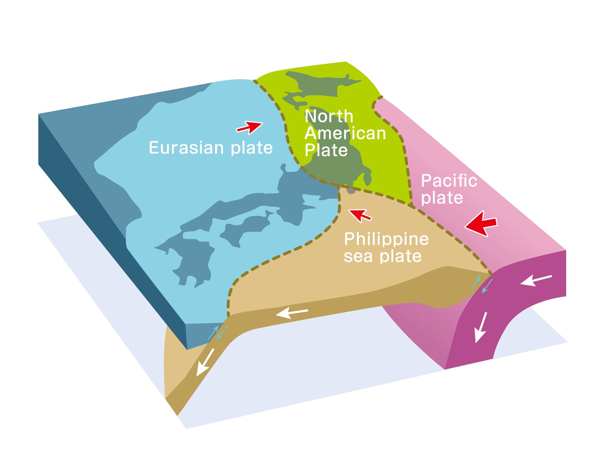 多い 理由 地震 最近 最近地震多いですね、、、南海トラフとかの前兆ですか？