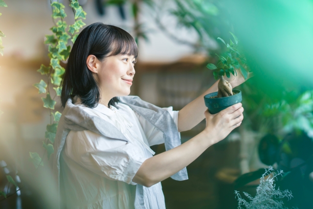 業者に依頼する 観葉植物のお手入れ オスカーホーム 富山 石川 福井 新潟