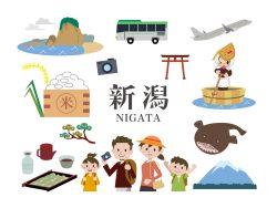 新潟県に住宅を持つともらえる補助金は？へのリンク